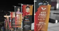 九游-板球半决赛上演强强对话，漓江貔貅队强势横扫洞庭灰熊队，多点开花奏效；定海神针仍在(板球编年史下载电脑版)
